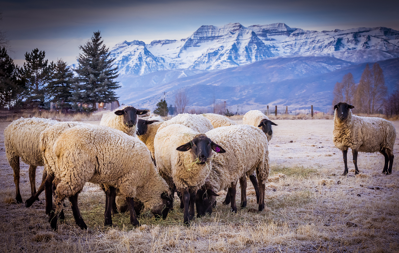 Heberb Heber City General Plan Update | Envision Heber